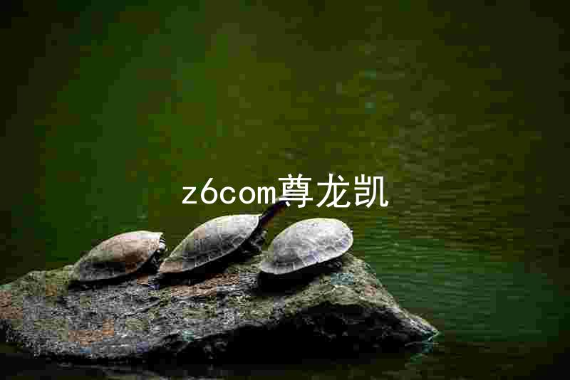 z6com尊龙凯
