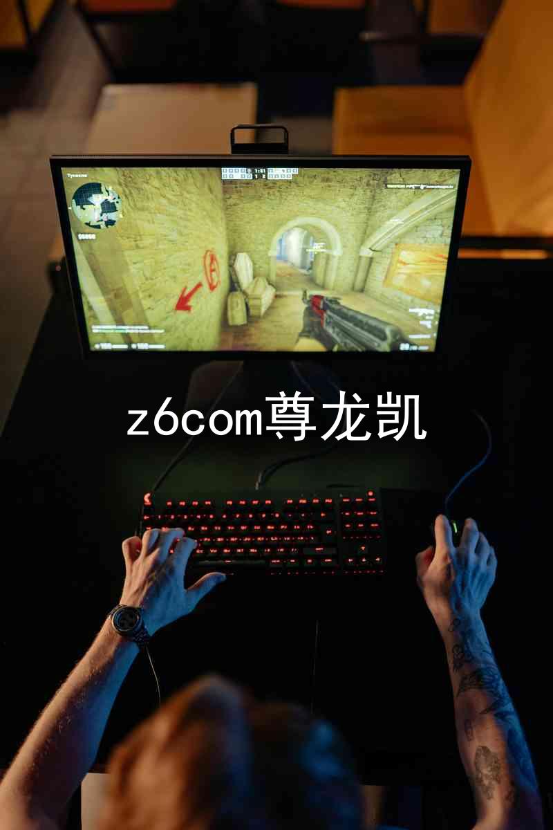 z6com尊龙凯