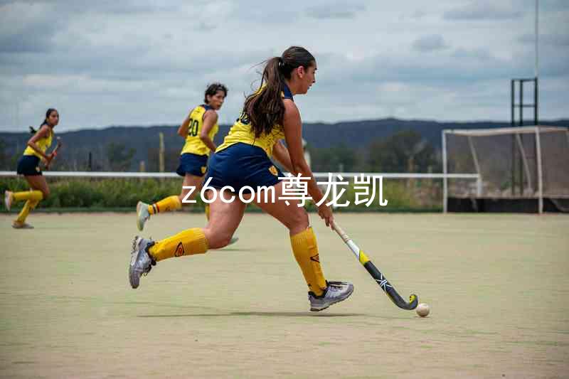 z6com尊龙凯